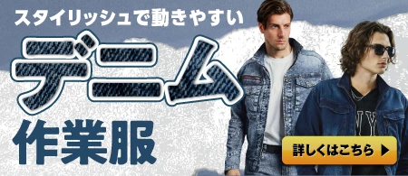 �ǥ˥�����